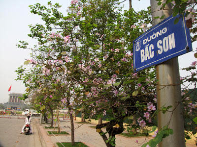 cua hang thuc pham bo duong nutri vn tren pho bac son