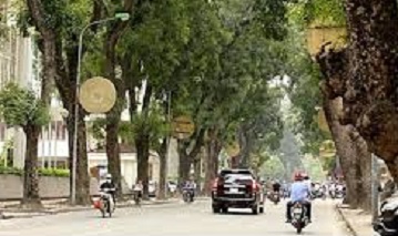 Cua hang ban yen sao nhan sam nam linh chi uy tin tren pho ong ich khiem